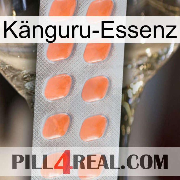 Känguru-Essenz 26